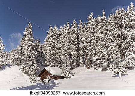 Hut in winter forest, Venet, Zams, Tyrol, Austria, Europe View Large Photo Image Stock Photo - Hut in winter forest, Venet, Zams, Tyrol, Austria, Europe. Fotosearch