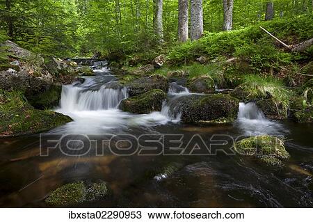 Kleine Ohe river, at Mt Lusen, Bavarian Forest, Bavaria, Germany, Europe View Large Photo Image Stock Image - Kleine Ohe river, at Mt Lusen, Bavarian Forest, Bavaria, Germany, Europe. Fotosearch