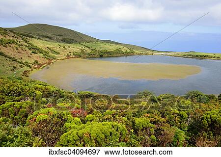 Lake Lagoa do Caiado, Highlands, Pico, Azores, Portugal, Europe View Large Photo Image Stock Photo - Lake Lagoa do Caiado, Highlands, Pico, Azores, Portugal, Europe. Fotosearch