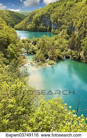 Lakes of Plitvice, UNESCO World Heritage Site, Plitvice Lakes National Park, Croatia, Europe View Large Photo Image Stock Photograph - Lakes of Plitvice, UNESCO World Heritage Site, Plitvice Lakes National Park, Croatia, Europe. Fotosearch