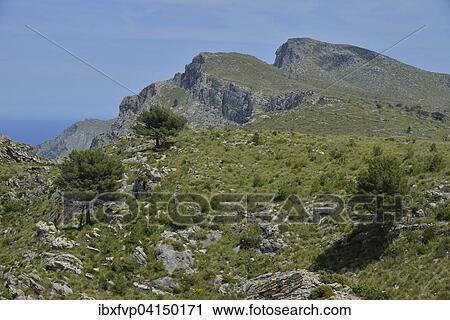 Stock Image - Landscape in the Parc Natural Peninsula de Llevant, near Arta, Majorca, Balearic Islands, Spain, Europe. Fotosearch