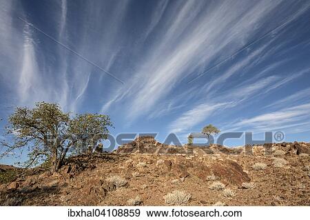 Landscape with trees and clouds, Twyfelfontein, Kunene Region, Namibia, Africa View Large Photo Image Stock Photo - Landscape with trees and clouds, Twyfelfontein, Kunene Region, Namibia, Africa. Fotosearch