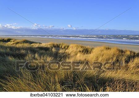 Langeoog Island, dunes on the north beach, choppy Sea, North Sea, Lower Saxony, Germany, Europe View Large Photo Image Stock Image - Langeoog Island, dunes on the north beach, choppy Sea, North Sea, Lower Saxony, Germany, Europe. Fotosearch