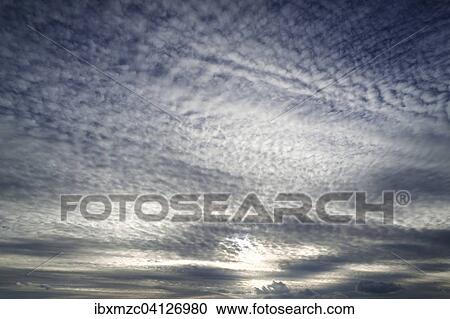 Large fluffy clouds, altocumulus View Large Photo Image Stock Image - Large fluffy clouds, altocumulus. Fotosearch