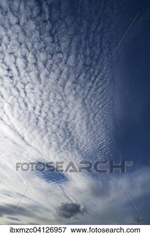 Large fluffy clouds, altocumulus View Large Photo Image Stock Photo - Large fluffy clouds, altocumulus. Fotosearch