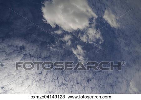 Large fluffy clouds, altocumulus View Large Photo Image Stock Photo - Large fluffy clouds, altocumulus. Fotosearch
