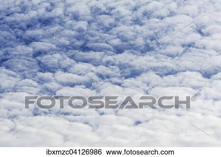 Large fluffy clouds, altocumulus View Large Photo Image Stock Photograph - Large fluffy clouds, altocumulus. Fotosearch