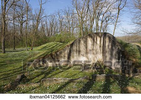 Stock Image - Late Bronze Age burial mounds in the Schussenwald forest, Siegendorf, Northern Burgenland, Burgenland, Austria, Europe. Fotosearch