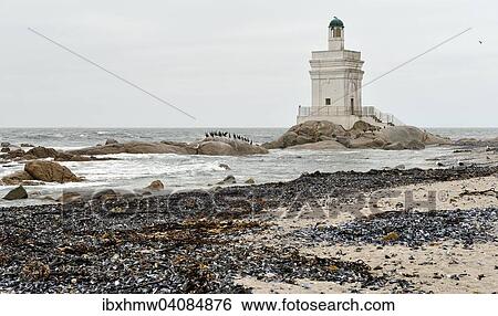 Lighthouse and cormorant colony at Shelley Point, Stompneusbaai, Western Cape, South Africa, Africa View Large Photo Image Stock Photograph - Lighthouse and cormorant colony at Shelley Point, Stompneusbaai, Western Cape, South Africa, Africa. Fotosearch