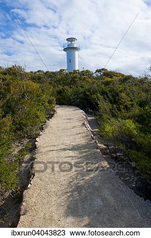 Lighthouse, Cape Tourville, Tasman National Park, Tasmania, Australia, Oceania View Large Photo Image Stock Image - Lighthouse, Cape Tourville, Tasman National Park, Tasmania, Australia, Oceania. Fotosearch