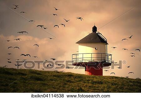 Lighthouse with flying wild geese in evening light, Gluckstadt, Schleswig-Holstein, Germany, Europe View Large Photo Image Stock Photo - Lighthouse with flying wild geese in evening light, Gluckstadt, Schleswig-Holstein, Germany, Europe. Fotosearch