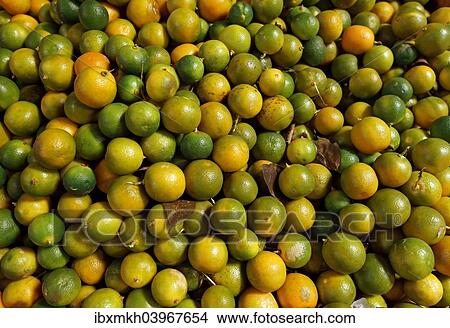Limes (Citrus aurantiifolia) for sale at a market in Indonesia View Large Photo Image Picture - Limes (Citrus aurantiifolia) for sale at a market in Indonesia. Fotosearch