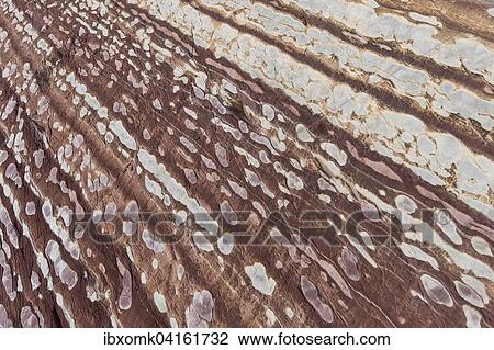 Stock Image - Limestone coloured red by iron and whitish-yellow dolomite, Segelsallskapet Fjord, Northeast Greenland National Park, Greenland, North America. Fotosearch