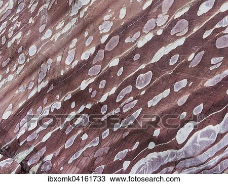 Limestone coloured red by iron and whitish-yellow dolomite, Segelsallskapet Fjord, Northeast Greenland National Park, Greenland, North America View Large Photo Image Stock Image - Limestone coloured red by iron and whitish-yellow dolomite, Segelsallskapet Fjord, Northeast Greenland National Park, Greenland, North America. Fotosearch