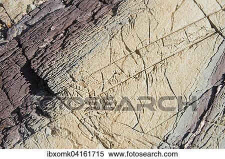Limestone coloured red by iron and whitish-yellow dolomite, Segelsallskapet Fjord, Northeast Greenland National Park, Greenland, North America View Large Photo Image Stock Photography - Limestone coloured red by iron and whitish-yellow dolomite, Segelsallskapet Fjord, Northeast Greenland National Park, Greenland, North America. Fotosearch