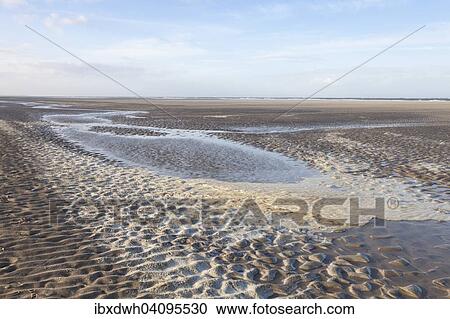 Low tide in the Lower Saxon Wadden Sea National Park, Langeoog Island, East Frisia, North Sea Coast, Lower Saxony, Germany, Europe View Large Photo Image Stock Image - Low tide in the Lower Saxon Wadden Sea National Park, Langeoog Island, East Frisia, North Sea Coast, Lower Saxony, Germany, Europe. Fotosearch