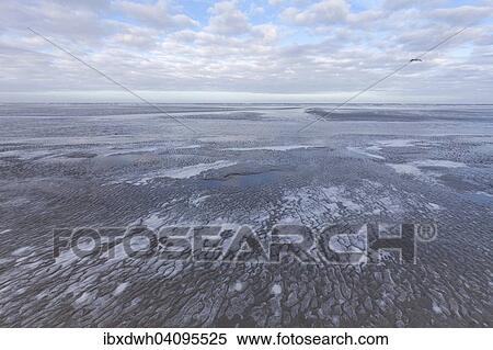 Low tide in the Lower Saxon Wadden Sea National Park, Langeoog Island, East Frisia, North Sea Coast, Lower Saxony, Germany, Europe View Large Photo Image Stock Photography - Low tide in the Lower Saxon Wadden Sea National Park, Langeoog Island, East Frisia, North Sea Coast, Lower Saxony, Germany, Europe. Fotosearch