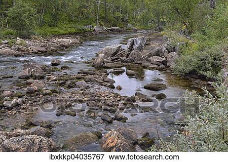 Luonosjahka mountain river in Saltdal, near the Arctic Circle, Norway, Europe View Large Photo Image Stock Photo - Luonosjahka mountain river in Saltdal, near the Arctic Circle, Norway, Europe. Fotosearch