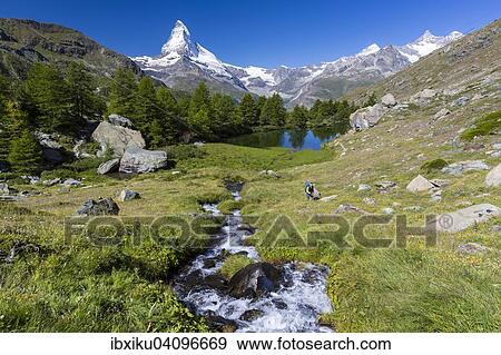 Man hiking at Grindjisee lake, the Matterhorn at the back, Zermatt, Canton of Valais, Switzerland, Europe View Large Photo Image Stock Photo - Man hiking at Grindjisee lake, the Matterhorn at the back, Zermatt, Canton of Valais, Switzerland, Europe. Fotosearch