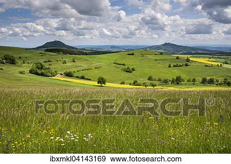 Stock Photo - Meadow in early summer, Baden-Wurttemberg, Germany, Europe. Fotosearch