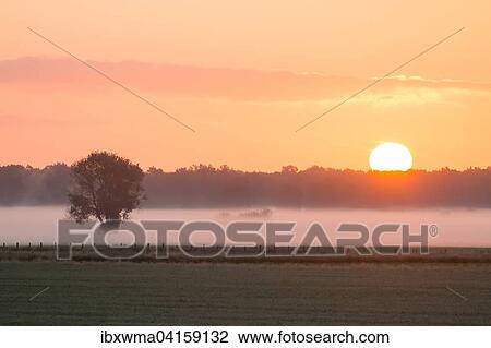 Misty morning atmosphere, Lower Saxony, Germany, Europe View Large Photo Image Stock Image - Misty morning atmosphere, Lower Saxony, Germany, Europe. Fotosearch