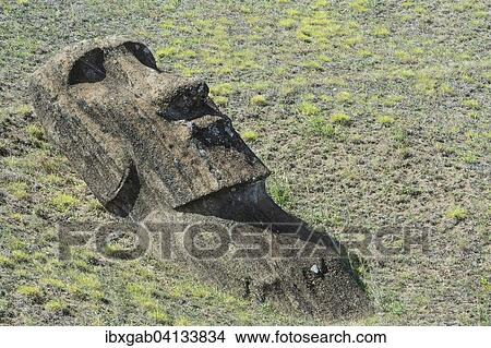 Moai in Rano Raraku, Rapa Nui National Park, Unesco World Heritage Site, Easter Island, Chile, South America View Large Photo Image Picture - Moai in Rano Raraku, Rapa Nui National Park, Unesco World Heritage Site, Easter Island, Chile, South America. Fotosearch