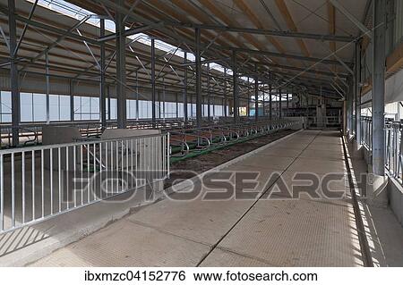 Modern, empty exercise pen for dairy cows, Bavaria, Germany, Europe View Large Photo Image Stock Photograph - Modern, empty exercise pen for dairy cows, Bavaria, Germany, Europe. Fotosearch
