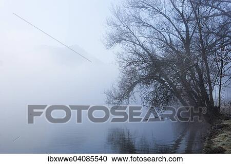 Stock Image - Morning fog on Mondsee Lake, Mondseeland region, Salzkammergut, Upper Austria, Austria, Europe. Fotosearch