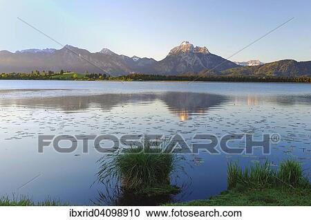 Morning mood at lake Hopfensee, near Fussen, Ostallgau, Allgau, Upper Swabia, Swabia, Bavaria, Germany, Europe View Large Photo Image Stock Image - Morning mood at lake Hopfensee, near Fussen, Ostallgau, Allgau, Upper Swabia, Swabia, Bavaria, Germany, Europe. Fotosearch