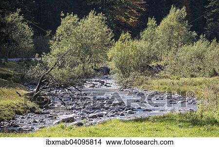 Mountain stream, Valepp, Spitzing region, Bavaria, Germany, Europe View Large Photo Image Picture - Mountain stream, Valepp, Spitzing region, Bavaria, Germany, Europe. Fotosearch