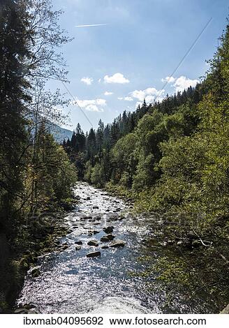 Stock Image - Mountain stream, Valepp, Spitzing region, Bavaria, Germany, Europe. Fotosearch