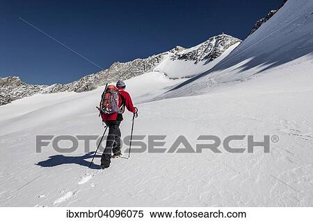 Mountaineer ascending the Hoher Weisszint, Gliederferner, Hoher Weisszint behind, Zillertal Alps, Lappach, Muhlwaldertal, Puster Valley, province of South Tyrol, Trentino, Italy, Europe View Large Photo Image Stock Photography - Mountaineer ascending the Hoher Weisszint, Gliederferner, Hoher Weisszint behind, Zillertal Alps, Lappach, Muhlwaldertal, Puster Valley, province of South Tyrol, Trentino, Italy, Europe. Fotosearch