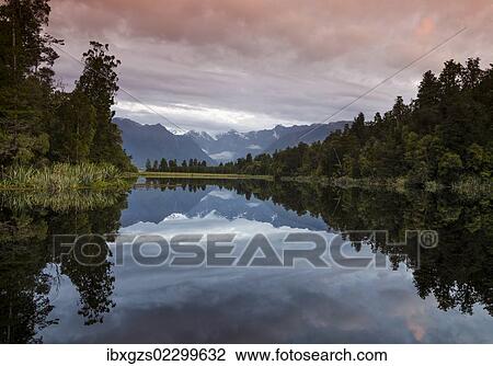 Mt. Tasman and Mt. Cook, Aoraki, reflection in Lake Matheson, Mt. Cook National Park, Westland National Park, Southern Alps, South Island, New Zealand, Oceania View Large Photo Image Stock Image - Mt. Tasman and Mt. Cook, Aoraki, reflection in Lake Matheson, Mt. Cook National Park, Westland National Park, Southern Alps, South Island, New Zealand, Oceania. Fotosearch