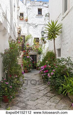 Narrow street with flowerpots, Locorotondo, Puglia, Italy, Europe View Large Photo Image Stock Image - Narrow street with flowerpots, Locorotondo, Puglia, Italy, Europe. Fotosearch