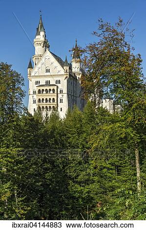 Neuschwanstein Castle, Schwangau, Ostallgau, Allgau, Swabia, Bavaria, Germany, Europe View Large Photo Image Stock Image - Neuschwanstein Castle, Schwangau, Ostallgau, Allgau, Swabia, Bavaria, Germany, Europe. Fotosearch