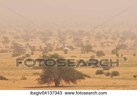 Stock Image - Nomad tents in a sandstorm, Adrar region, Sahara, Mauritania, Africa. Fotosearch