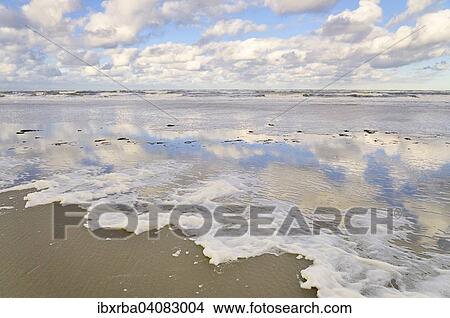 North beach, North Sea, Langeoog, East Frisian Islands, East Frisia, Lower Saxony, Germany, Europe View Large Photo Image Picture - North beach, North Sea, Langeoog, East Frisian Islands, East Frisia, Lower Saxony, Germany, Europe. Fotosearch