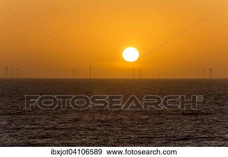 North Holland coast, offshore wind farm, sunset, Egmond aan Zee, North Holland, The Netherlands, Europe View Large Photo Image Stock Photo - North Holland coast, offshore wind farm, sunset, Egmond aan Zee, North Holland, The Netherlands, Europe. Fotosearch