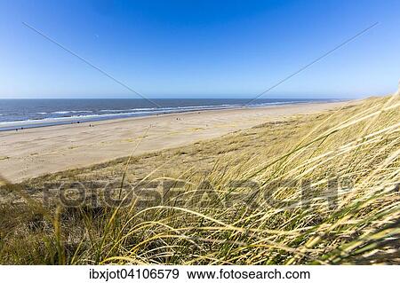 North Holland's coast at Egmond aan Zee, Egmond aan Zee, North Holland, The Netherlands, Europe View Large Photo Image Stock Photo - North Holland's coast at Egmond aan Zee, Egmond aan Zee, North Holland, The Netherlands, Europe. Fotosearch