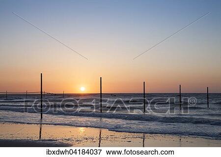 North Sea coast in the evening light, Wangerooge, East Frisian Island, East Frisia, Lower Saxony, Germany, Europe View Large Photo Image Stock Photo - North Sea coast in the evening light, Wangerooge, East Frisian Island, East Frisia, Lower Saxony, Germany, Europe. Fotosearch