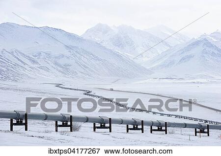 Oil pipeline from Prudhoe Bay to Valdez in the Arctic winter along the Dalton Highway, Haul Road, Alaska, USA View Large Photo Image Stock Photo - Oil pipeline from Prudhoe Bay to Valdez in the Arctic winter along the Dalton Highway, Haul Road, Alaska, USA. Fotosearch