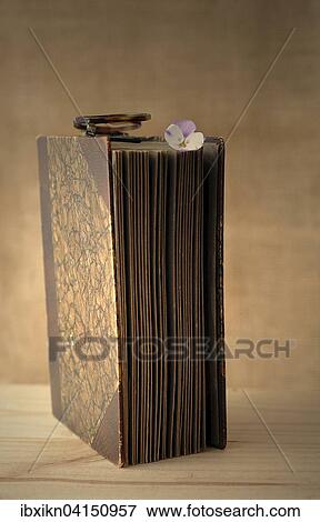 Old book with reading glasses and a horned violet View Large Photo Image Stock Photo - Old book with reading glasses and a horned violet. Fotosearch