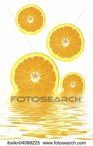 Orange slices with reflections in water View Large Photo Image Stock Photography - Orange slices with reflections in water. Fotosearch