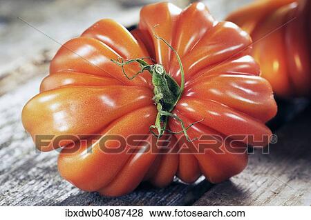 Oxheart tomato on a wooden board View Large Photo Image Stock Photo - Oxheart tomato on a wooden board. Fotosearch