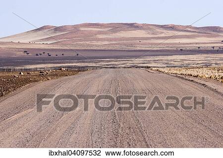 Pad D707, road along the Namib Desert, Namib Naukluft Park, Namibia, Africa View Large Photo Image Stock Image - Pad D707, road along the Namib Desert, Namib Naukluft Park, Namibia, Africa. Fotosearch
