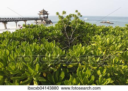 Pagoda on the beach, Wuzhizou Iceland, Hainan Province, China, Asia View Large Photo Image Stock Image - Pagoda on the beach, Wuzhizou Iceland, Hainan Province, China, Asia. Fotosearch