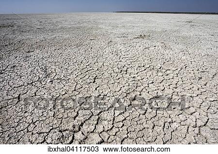 Stock Image - Parched, cracked Etosha salt pan, Etosha National Park, Namibia, Africa. Fotosearch