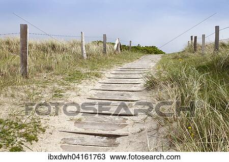 Path across the dune, Wangerooge, East Frisian Island, East Frisia, Lower Saxony, Germany, Europe View Large Photo Image Stock Image - Path across the dune, Wangerooge, East Frisian Island, East Frisia, Lower Saxony, Germany, Europe. Fotosearch