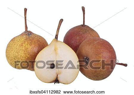 Pear variety Reichenackerin View Large Photo Image Stock Image - Pear variety Reichenackerin. Fotosearch