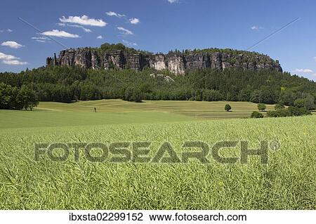 Pfaffenstein low table mountain, Elbe Sandstone Mountains, Saxony, Germany, Europe View Large Photo Image Stock Image - Pfaffenstein low table mountain, Elbe Sandstone Mountains, Saxony, Germany, Europe. Fotosearch
